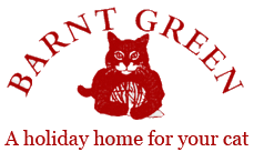 1 barnt green boarding cattery 1