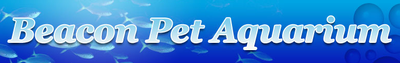 1 beacon pet aquarium 1