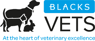 1 blacks vets in dudley 1