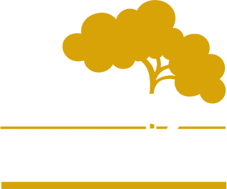 1 cadbury world shop 1
