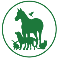 1 connaught house veterinary hospital 1