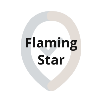 1 flaming star textlogo 1
