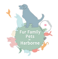 1 fur family pets in harborne park road 1