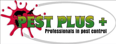 1 pest plus 1