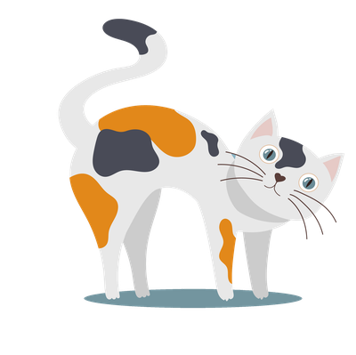 1 pype hayes cattery 1