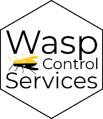 1 wasp control services 1