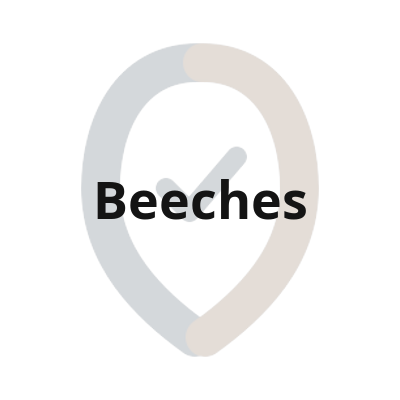 15 beeches textlogo 1