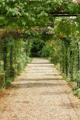 2 edge to edge landscaping walsall 1