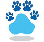 2 go out paws coventry dog walking day care fully licenced 1