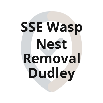 2 sse wasp nest removal dudley textlogo 1