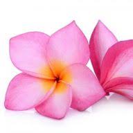 2 suwan thai therapy beauty 1