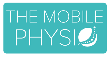 2 the mobile physio 1