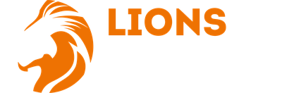 29 lions logistics limited 1