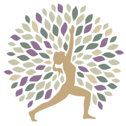 3 artemis yoga pilates wellbeing studio 1