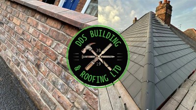 3 dds building roofing 1