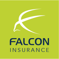 3 falcon insurance 1