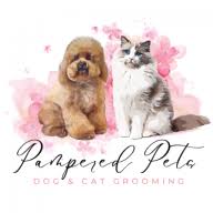 3 pampered pets dog cat grooming training academy walsall 1