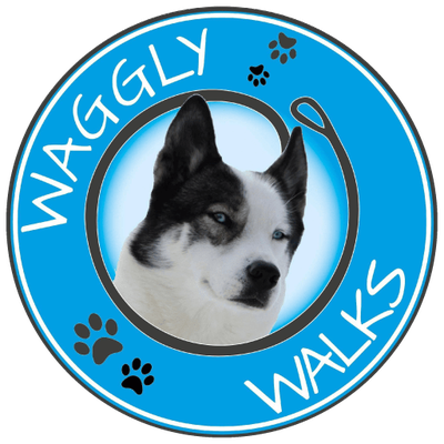 3 waggly walks 1