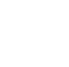 4 apl law 1