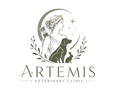 4 artemis veterinary clinic 1