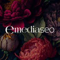 4 emedia seo limited 1