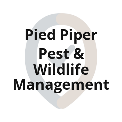4 pied piper pest wildlife management textlogo 1