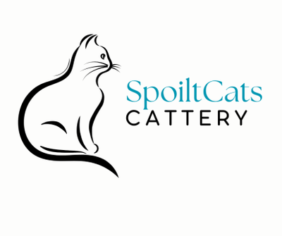 4 spoiltcats cattery 1