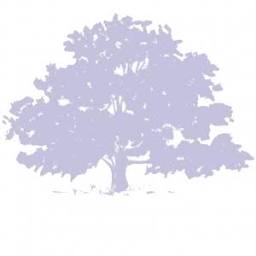 4 tyndallwoods solicitors 1