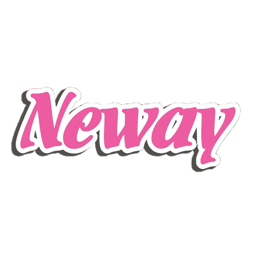 5 neway chinese takeaway 1