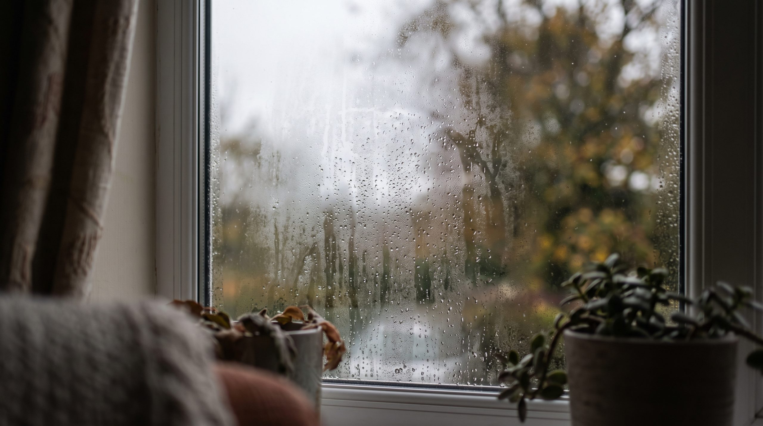 Tackling Damp in Yeovil Homes as the Seasons Turn